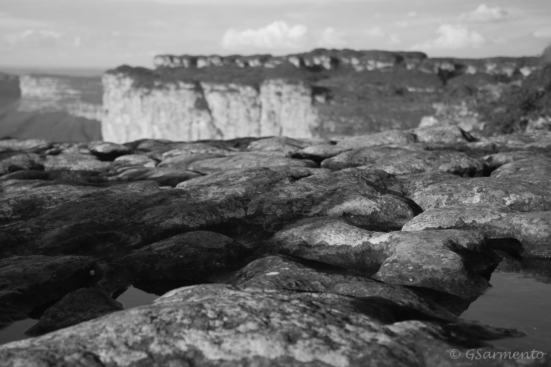 Lajedos e vegetação nativa da Chapada