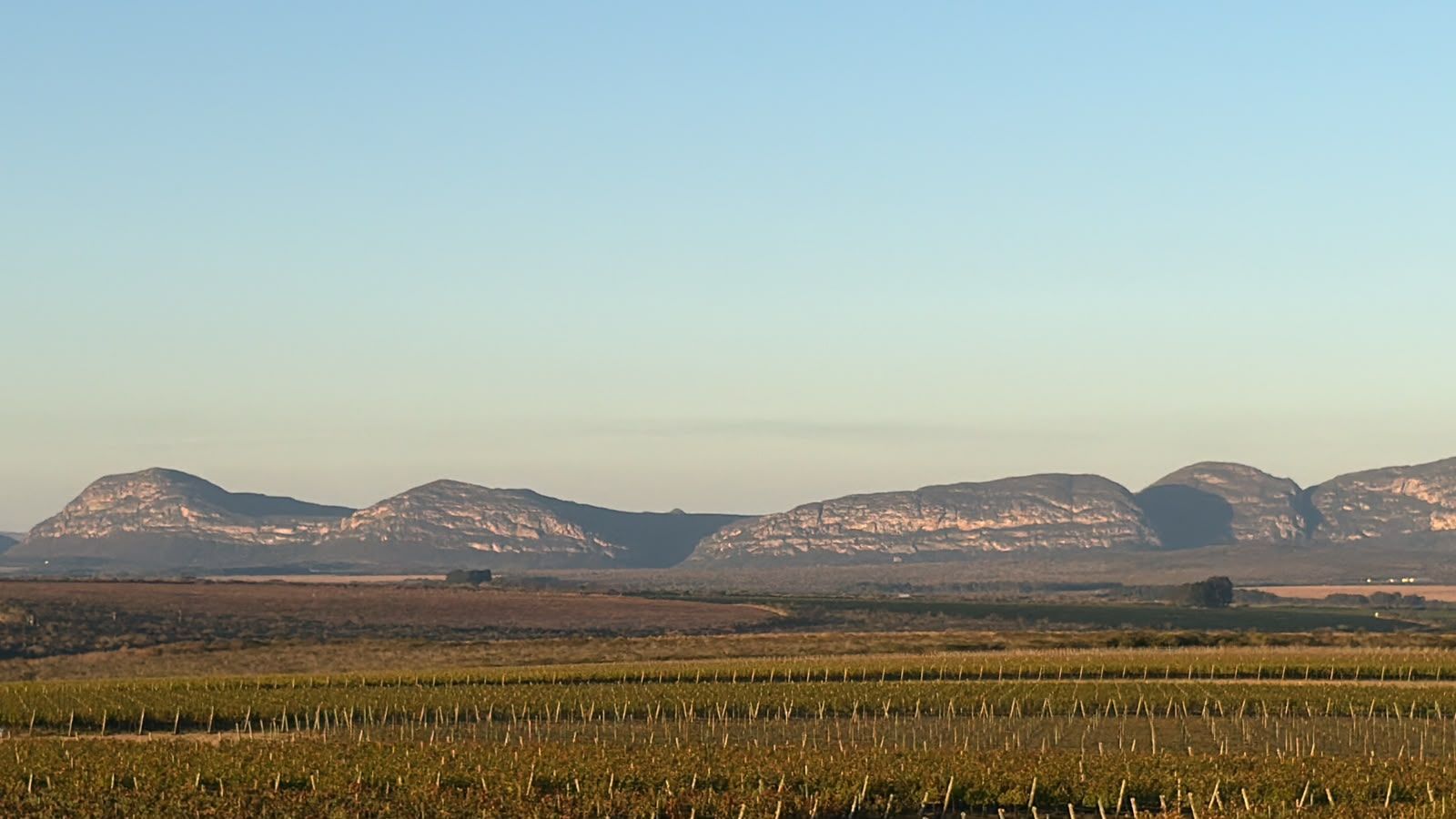 Vinhedos com a Serra do Sincorá ao fundo